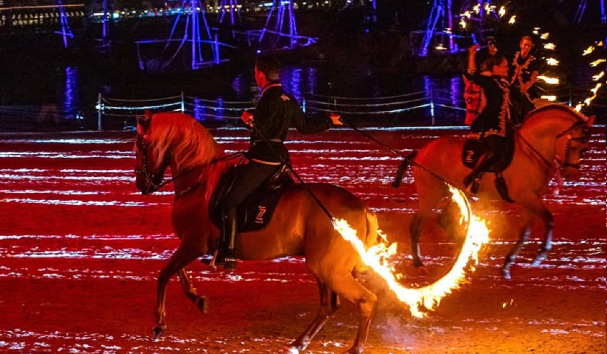 Katara International Arabian Horse Festival Concludes with a Blaze of Glory